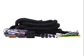 Phoenix Gold ZDC-ISOX5